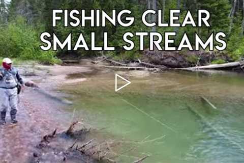 Clear Water Small Stream Fishing