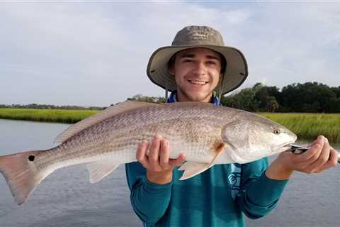 Fishing Tactic For Timid Redfish