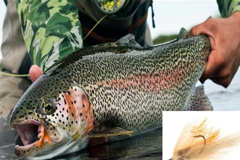 Does fly fishing catch more fish?