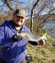 Hudson River Striped Bass Anglers: Volunteer Logbook Program
