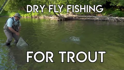 Dry Fly Fishing for Trout Tips