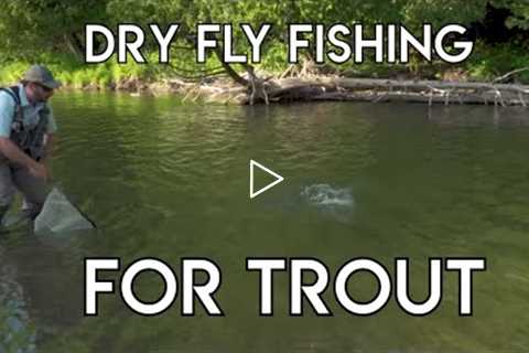 Dry Fly Fishing for Trout Tips