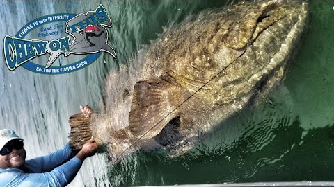 How To Catch Big Fish + Deep Sea Fishing # Saltwater Fishing Videos