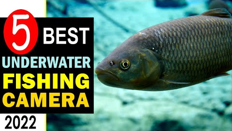 Best Underwater Fishing Camera 2022 🏆 Top 5 Underwater Fishing Camera Reviews