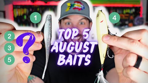 Top 5 Baits For Late August Bass Fishing | Beginner Fishing Tips 2022