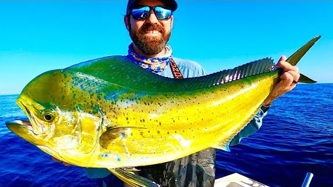 Dorado Fishing in Southern California! (Mahi Mahi Catch, Clean and Cook)