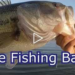 How To Start Fishing Any Lake for Beginners- Tips and Techniques