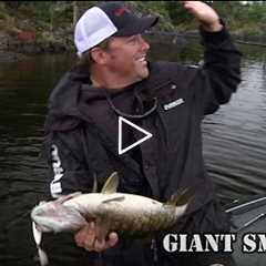 SMC Season 11.5 : Best Fishing Trip Ever - How to fish Rainy Lake for Big Smallmouth Bass