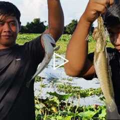 Hook Fishing Video | Man Fishing In The Lake  1