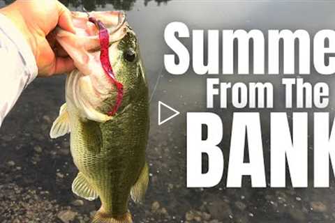 SUMMERTIME Bass Fishing FROM THE BANK (3 Lures You NEED)