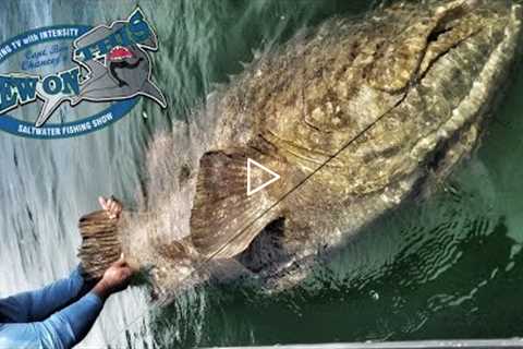 How To Catch Big Fish + Deep Sea Fishing # Saltwater Fishing Videos