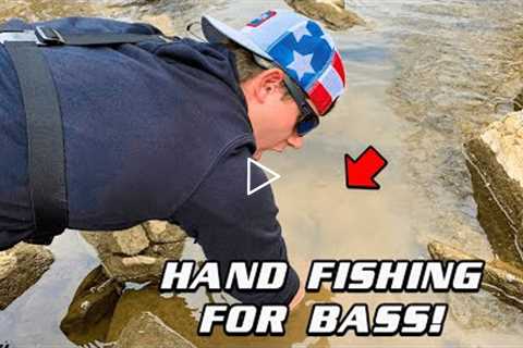 HAND FISHING FOR BASS #shorts