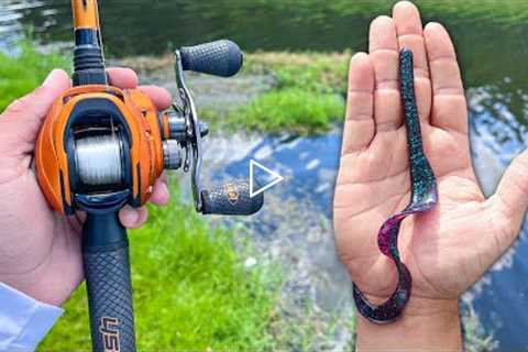 SUMMER BASS Fishing with BIG Worms!