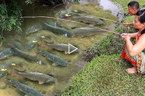 10 Year: LIVE Fishing Primitive Catch many fish off grid - Cooking fish wild outdoors