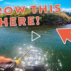 Summer Bass Fishing Tips On Lake Guntersville with Andrew Nordbye!