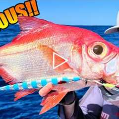 Tastiest fish I've EVER eaten caught jigging in 450m (1470ft)!! Catch, clean, cook, compare