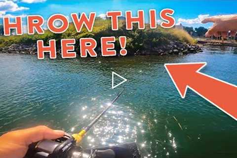 Summer Bass Fishing Tips On Lake Guntersville with Andrew Nordbye!