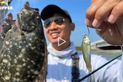 Catching Flounders for Beginners! Fishing Rigs, Bait, Tackle, Spots & MORE!