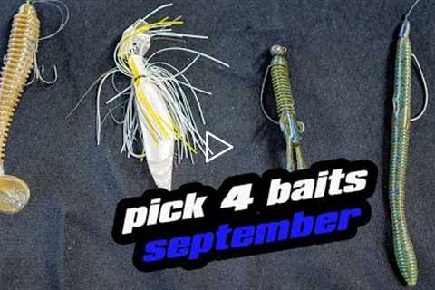 Pick 4 | Baits For September