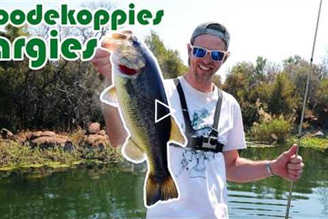 Catching Big Spawning Bass At Roodekoppies Dam (South Africa)