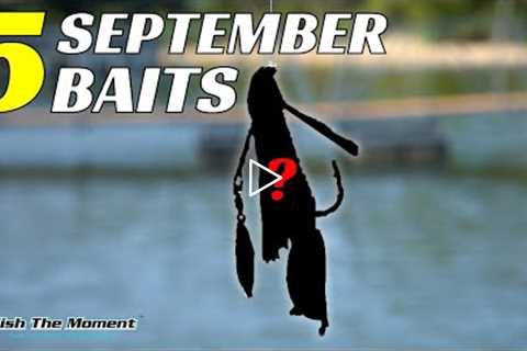 DON'T Go To the Lake In September WITHOUT These 5 Baits!