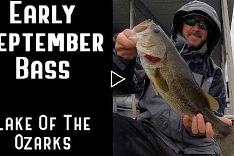 Early September Bass Fishing | Lake Of The Ozarks