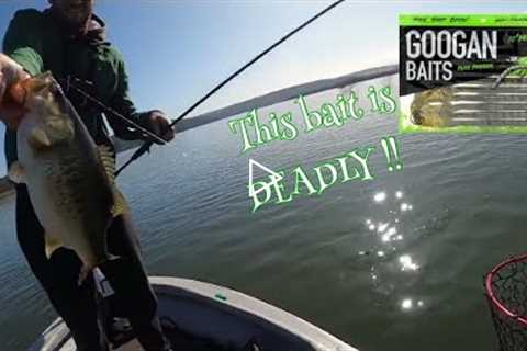 Bass Fishing Albert Falls Dam on fire, The Fishing Effect beat me with a GOOGAN BAITS Mondo worm