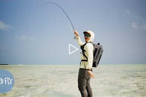 Fly Fishing a Tropical Island in the Caribbean