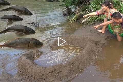 Survival Cooking: Build Traps Fish - Living Off Grid - Primitive Catch Fish