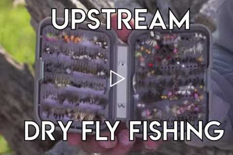 Upstream Dry Fly Fishing | How To