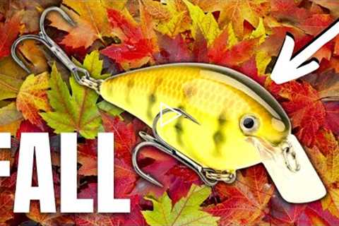 You Can't BEAT These 5 FALL Lures