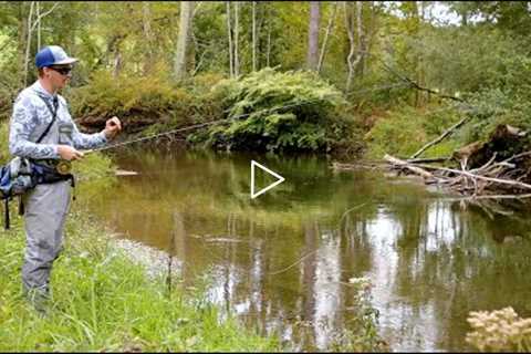 Fly Fishing with Streamers for Fall Trout