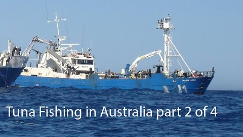 A History of Blue-fin Tuna Fishing in Australia. Part 2 of 4.