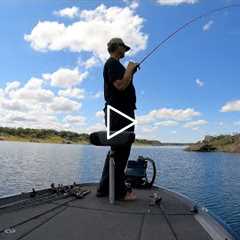 Early Fall Fishing on Lake Travis- Austin, TX - Bass Fishing