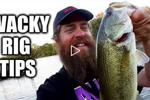 Easy Fishing Tips to Catch More Bass on a Wacky Rig (Yum Dinger)