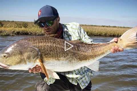 FLY FISHING FOR REDFISH BASICS 101 INTRODUCTION FOR BEGINNERS