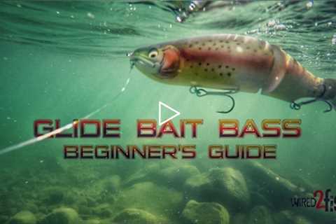 Glide Bait Fishing Bass: A Beginner's Guide