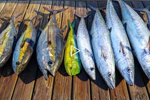 EPIC Deep Sea Fishing MIAMI! Catch Clean Cook (Tuna, Kingfish, Dolphin, Sailfish)