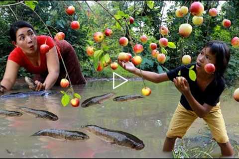 Catch many fish and pick apples fruit in flood forest- Roasted fish with mango sauce so delicious