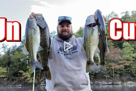 Fall Bass Fishing UNCUT