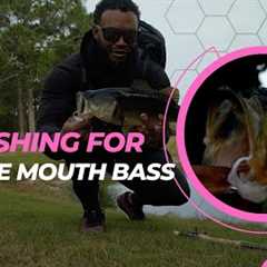 This Caught me off Guard while Fishing! Here's what HAPPENED!! Fly fishing for large mouth BASS!