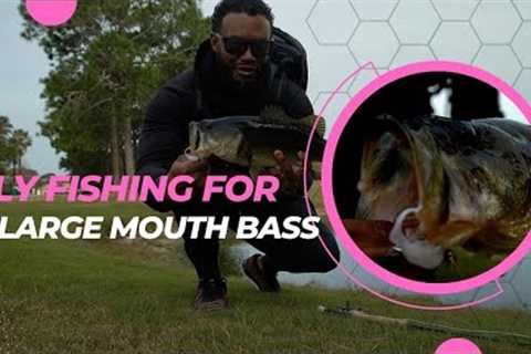 This Caught me off Guard while Fishing! Here's what HAPPENED!! Fly fishing for large mouth BASS!