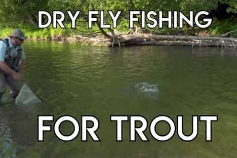 Dry Fly Fishing for Trout Tips