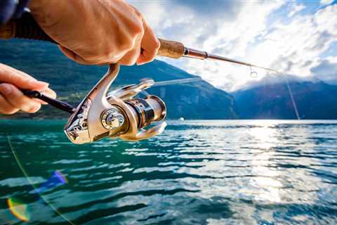 Rods and Reels – The Basics of Quality Fishing Equipment