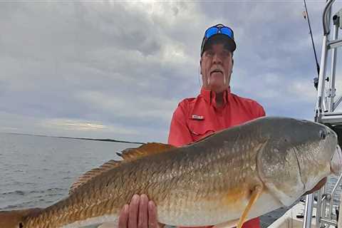 Tampa Bay Fishing: An Expert's Guide