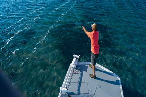 Everything You Need to Know About Fishing Rods, Reels, and Lines in South Padre Island TX