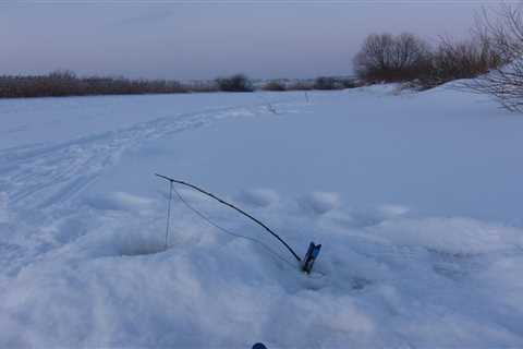 Ice Fishing Rods: Unlock the Secrets to Catching More Fish!