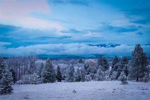 Cabin Fever - The End Is Near - Montana Trout Outfitters