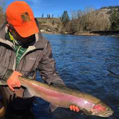 Mid-winter Fly Fishing Fix - Montana Trout Outfitters