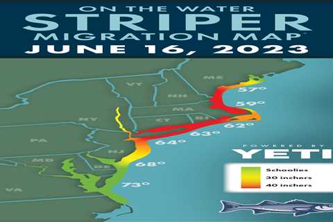 Striper Migration Map – June 16, 2023